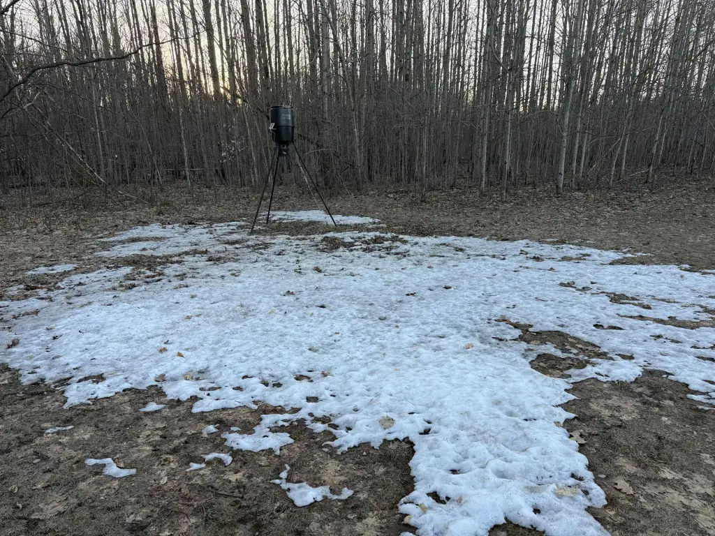 Picture 23