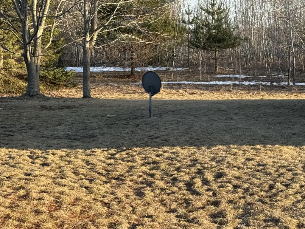 Picture 6
