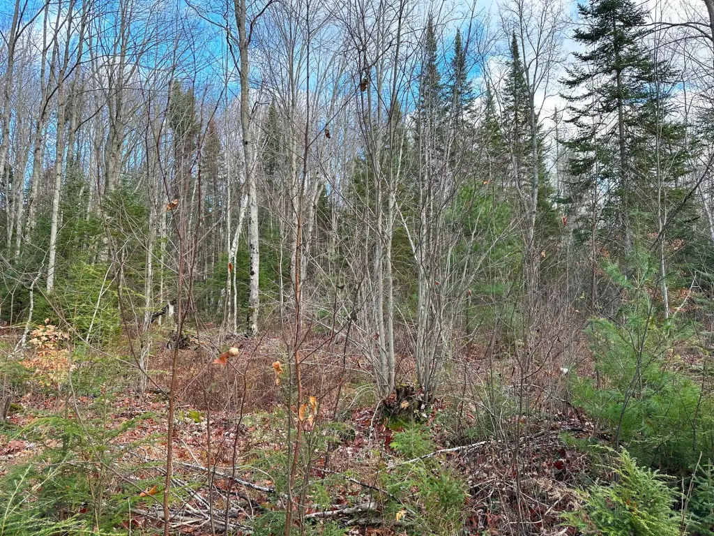 Picture 25