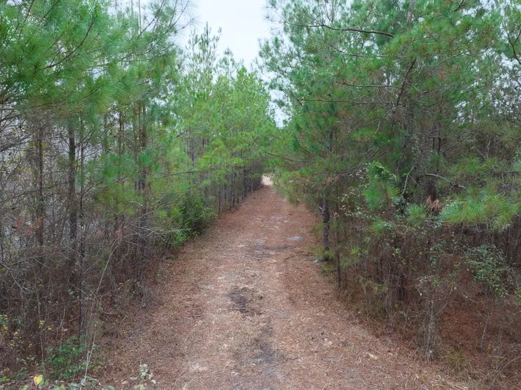 Picture 12