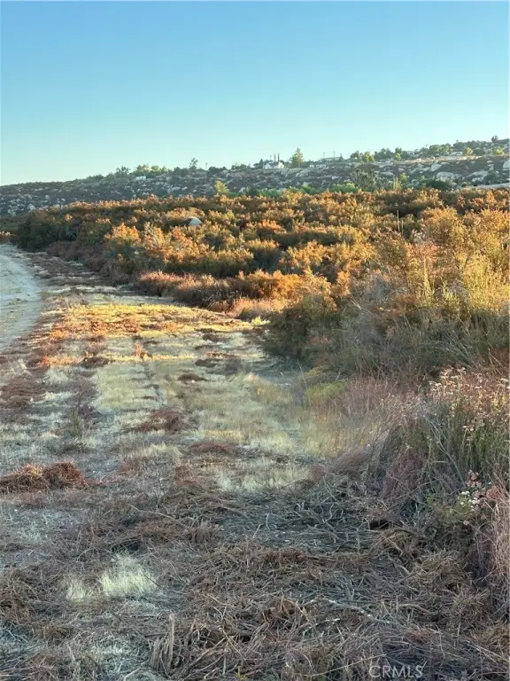 Picture 11