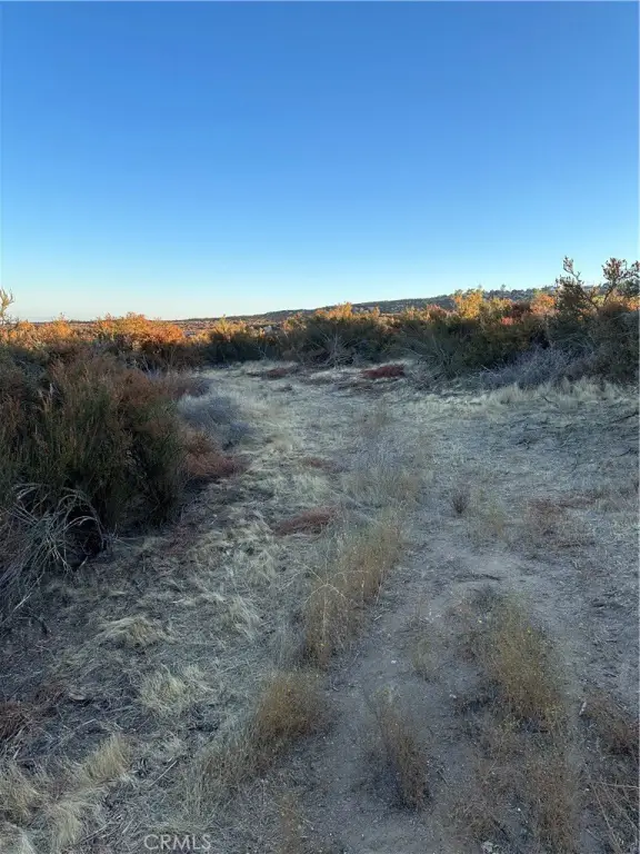 Picture 14