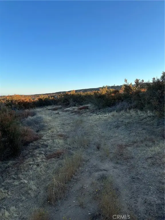 Picture 13