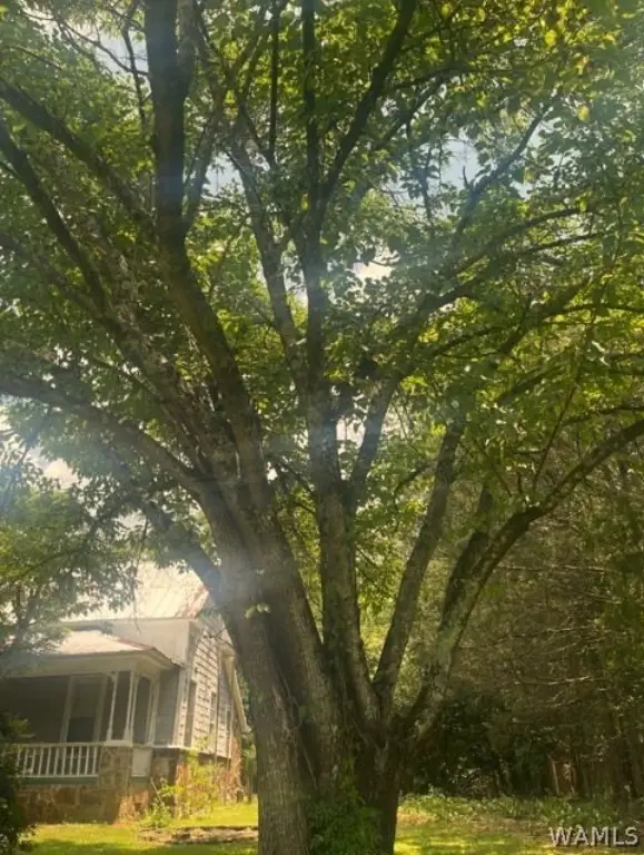 Picture 12