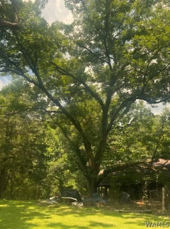 Picture 10