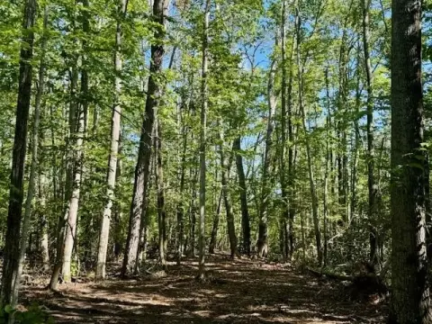 2.5 Acres Near Long Lake