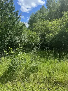 Onaway, MI Building Site