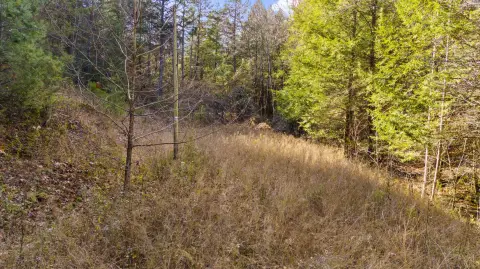 Land Near Natural Bridge