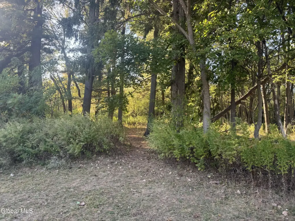 Picture 9