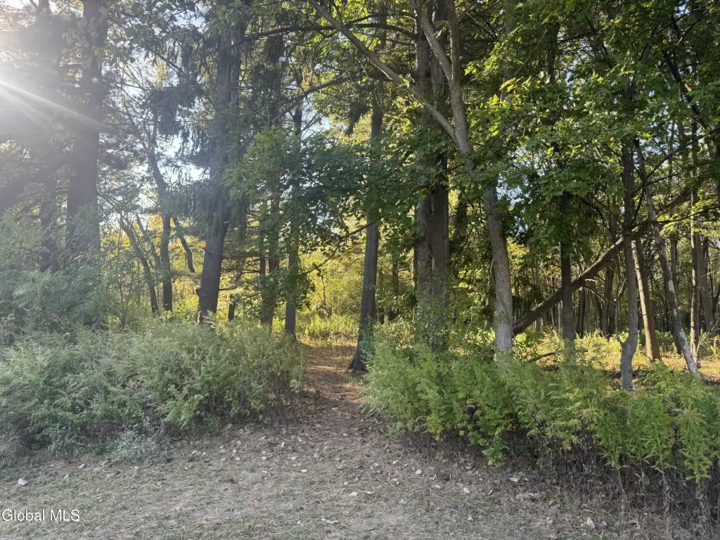 Picture 8