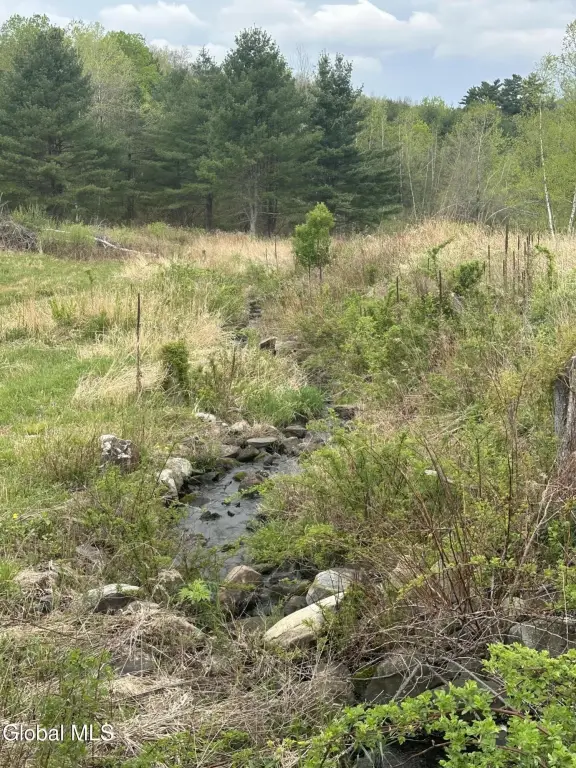 Picture 7