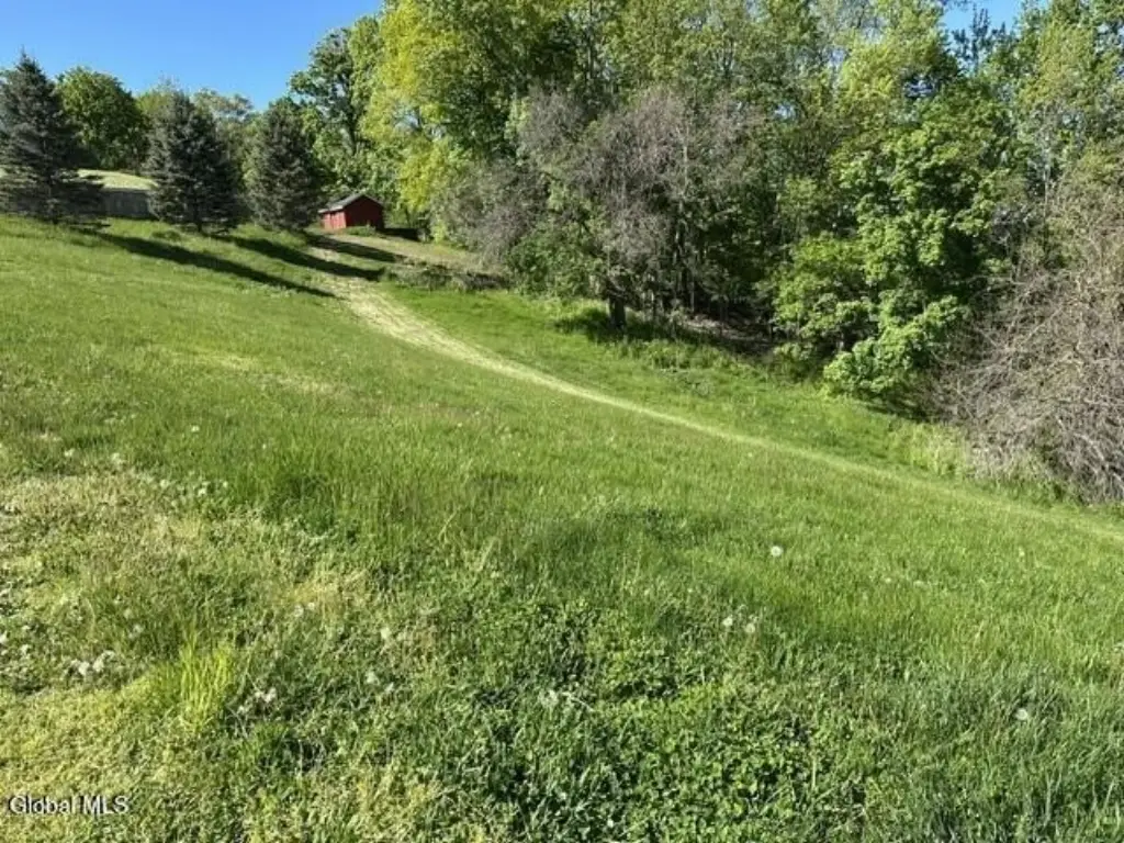 Picture 3