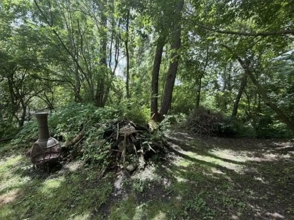 Picture 4