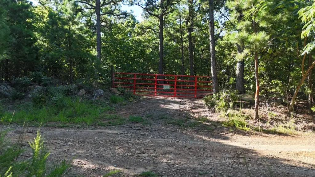 Picture 5