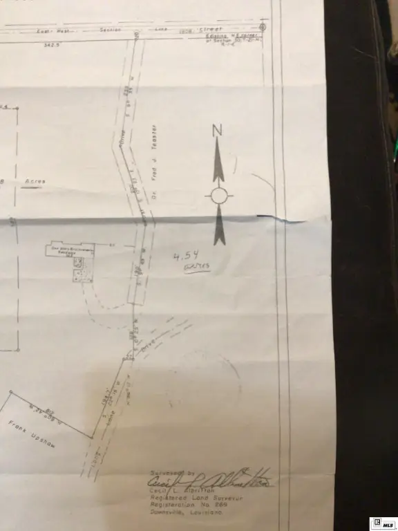 Picture 13