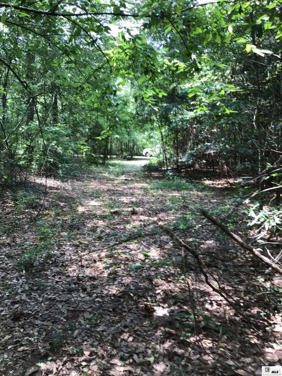 Picture 9