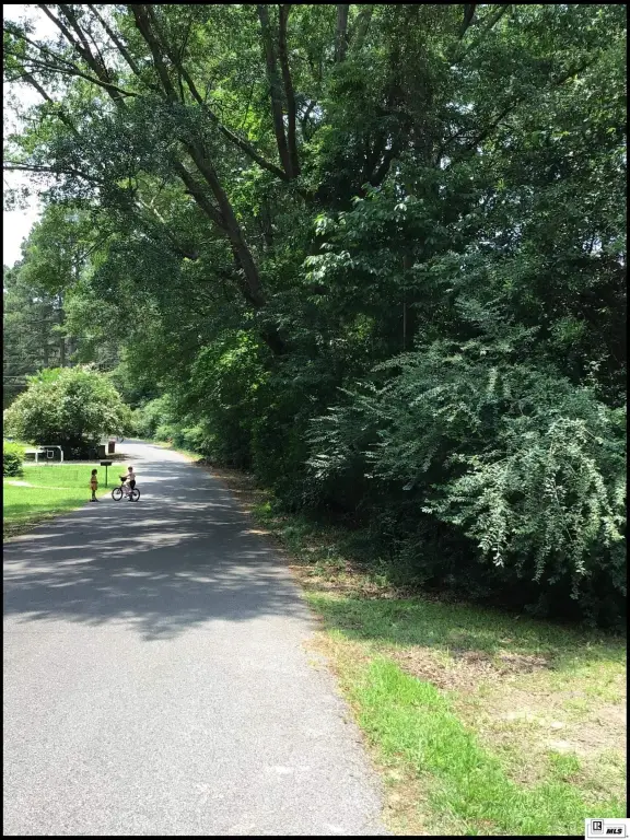Picture 11