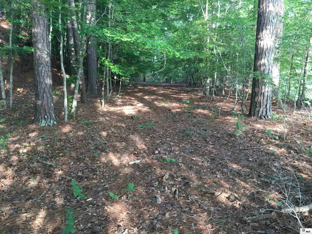 Picture 15