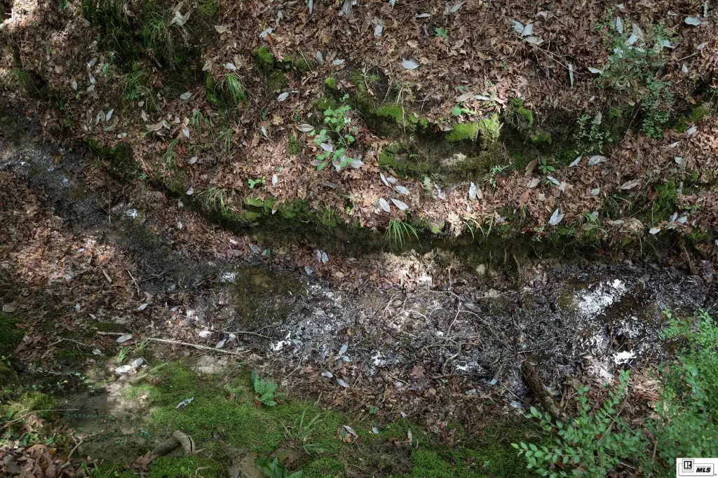 Picture 41