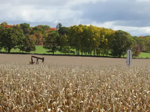 40 Acres Vacant Land Stanton