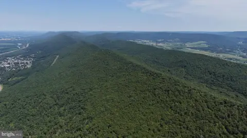 Wooded Hunting Land