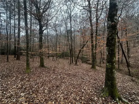 5+ Acre Homesite Near Lake