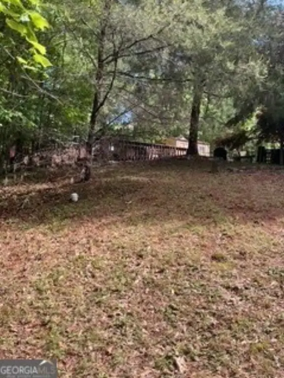 Picture 23