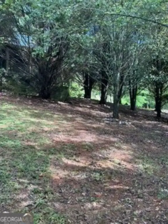 Picture 26
