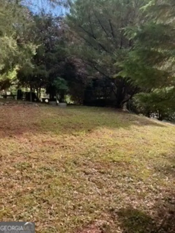 Picture 24