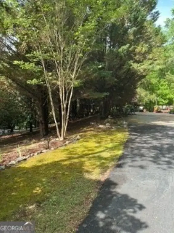 Picture 7