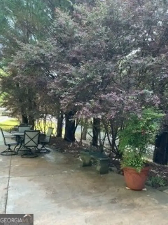 Picture 28
