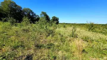 10+ Acre Texas Retreat Land
