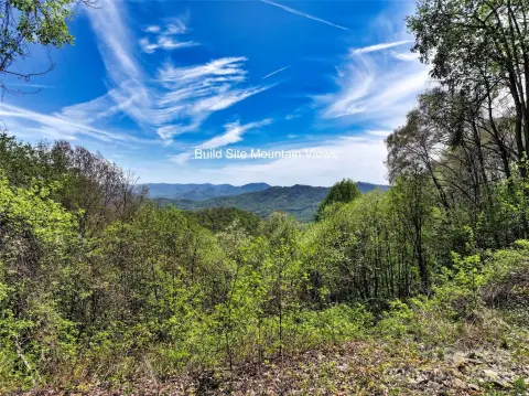 Waynesville Land with Mountain Views