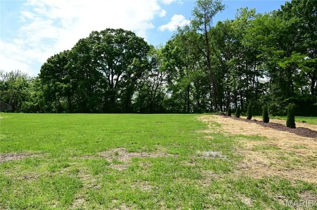 Picture 3