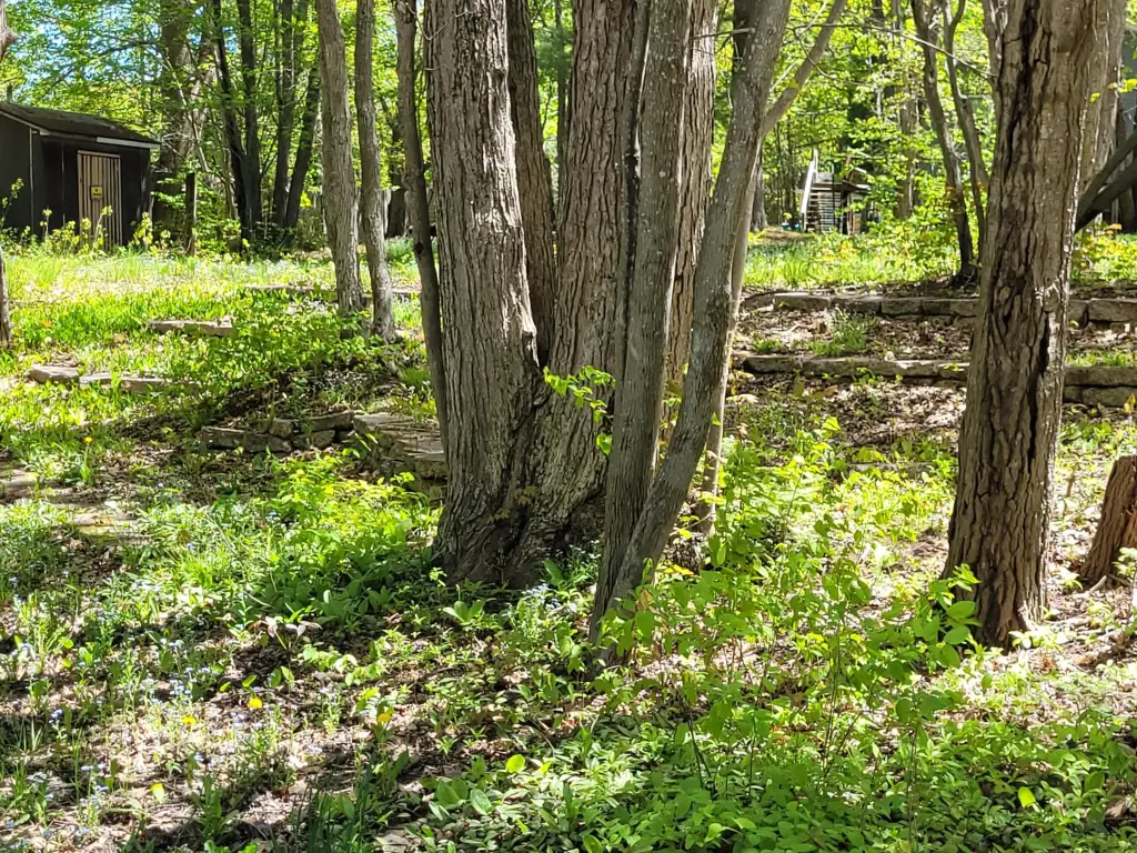 Picture 5