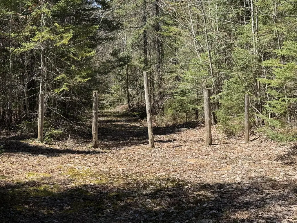Picture 9