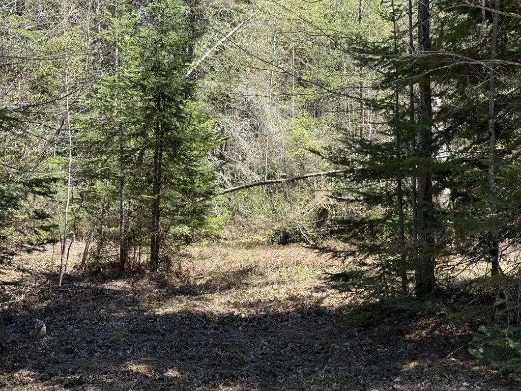Picture 14