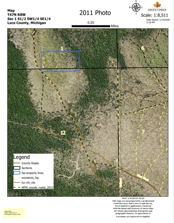 Picture 9