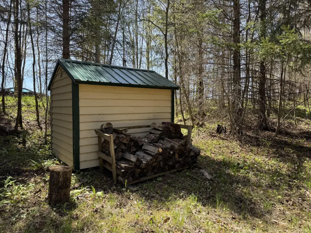 Picture 16