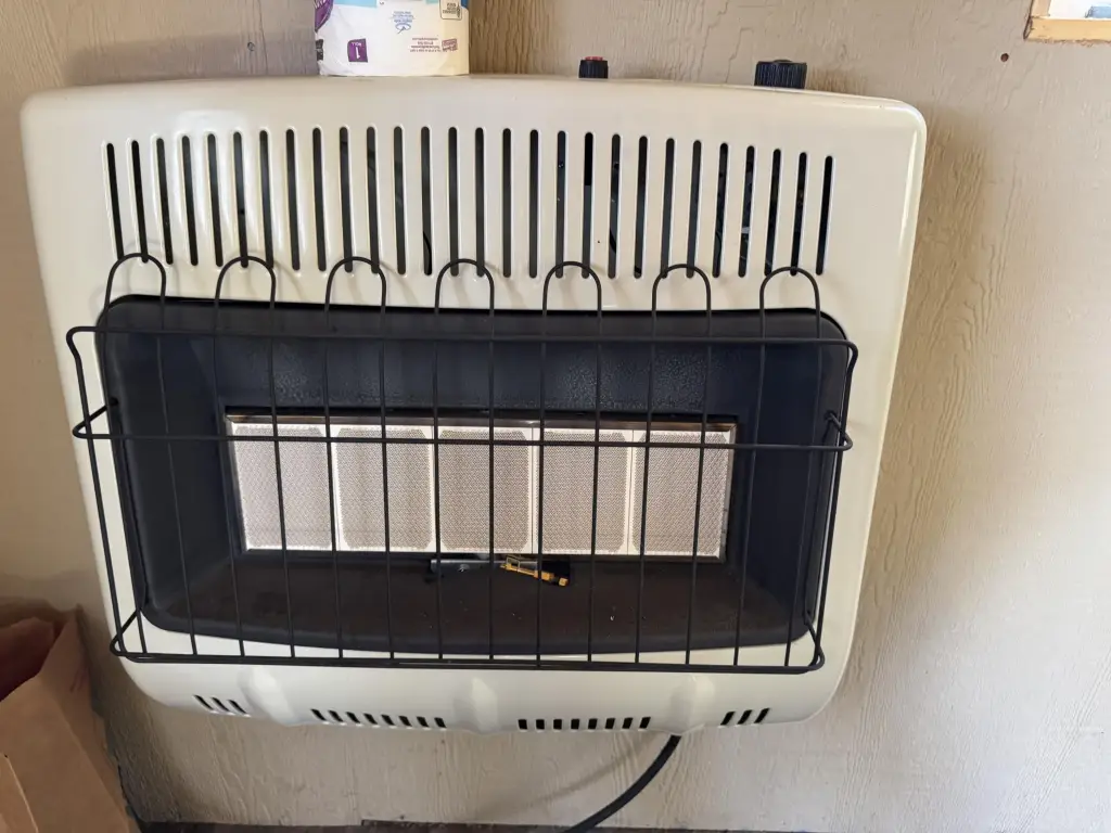 Picture 6