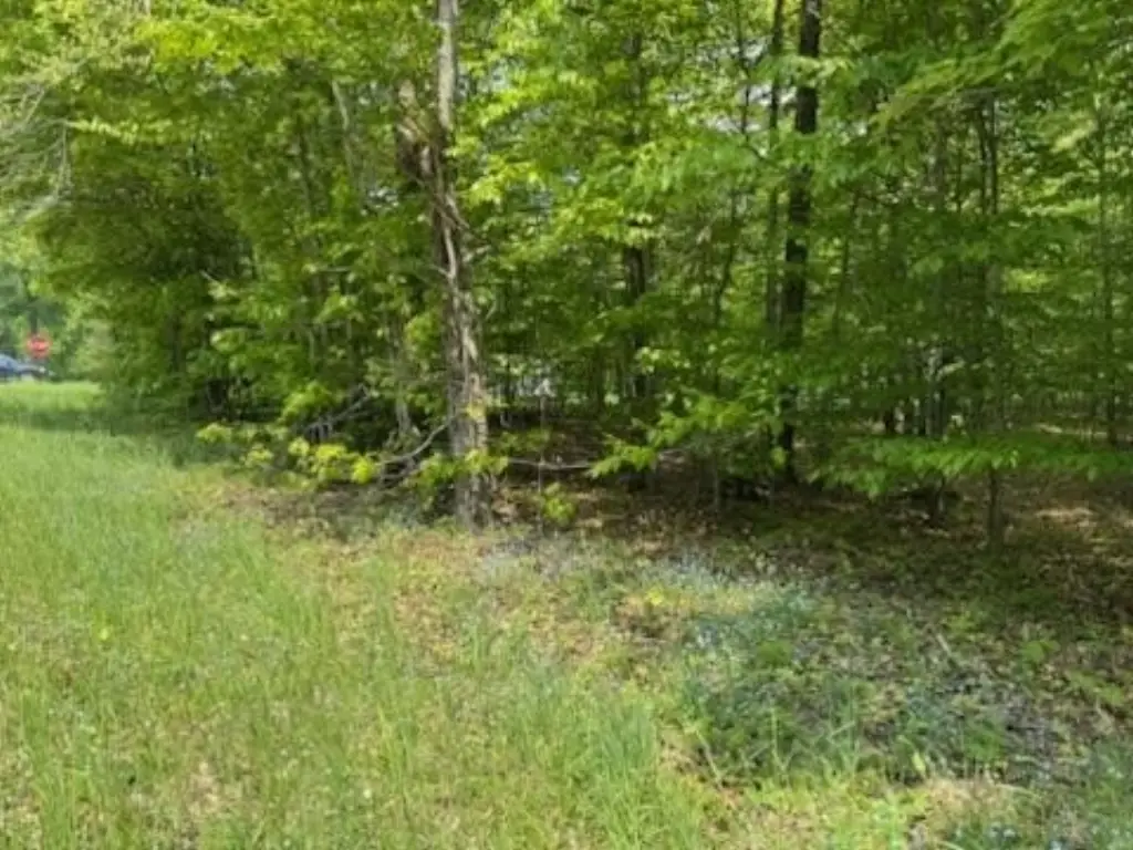 Picture 19