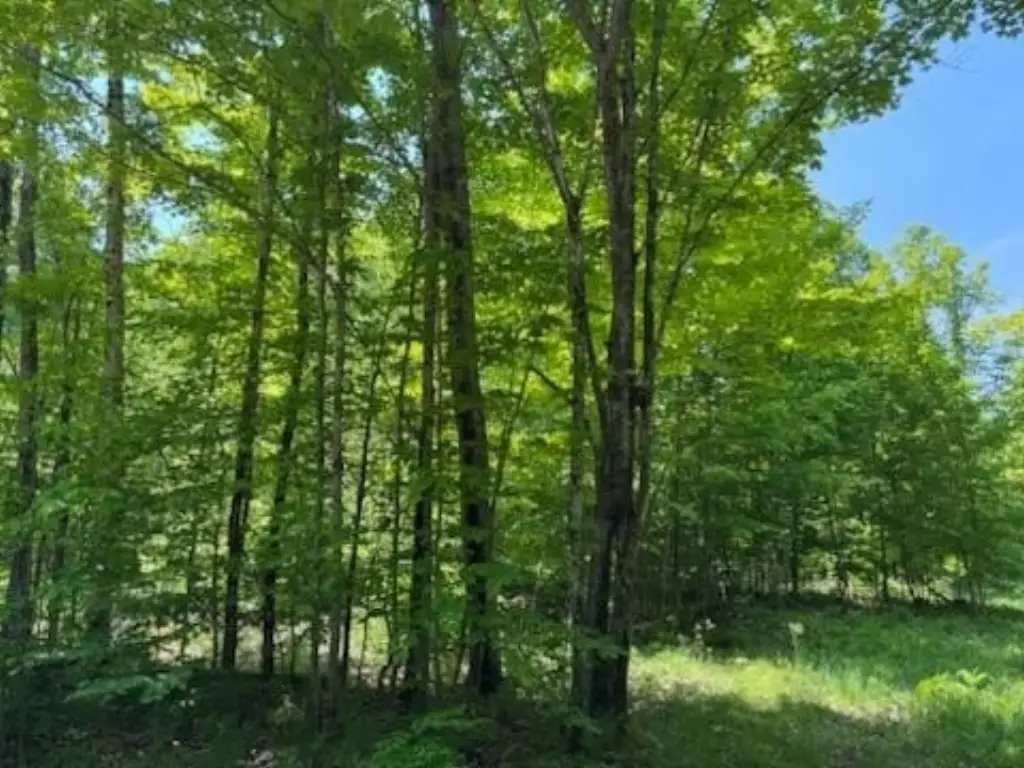 Picture 23