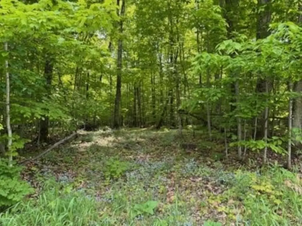 Picture 20