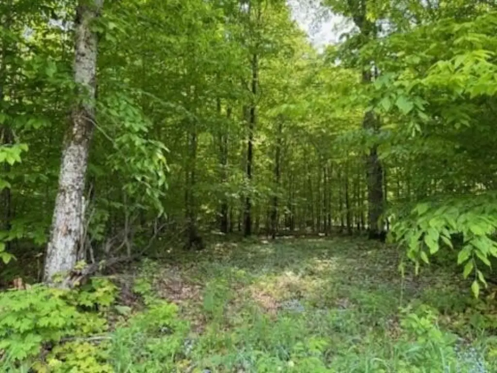 Picture 14