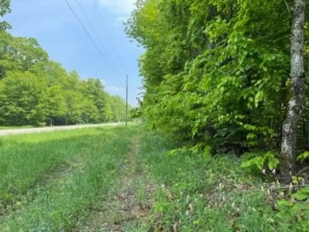 Picture 16