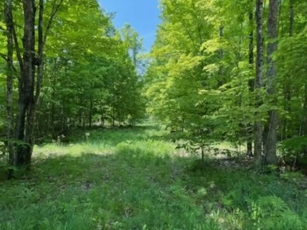 Picture 22