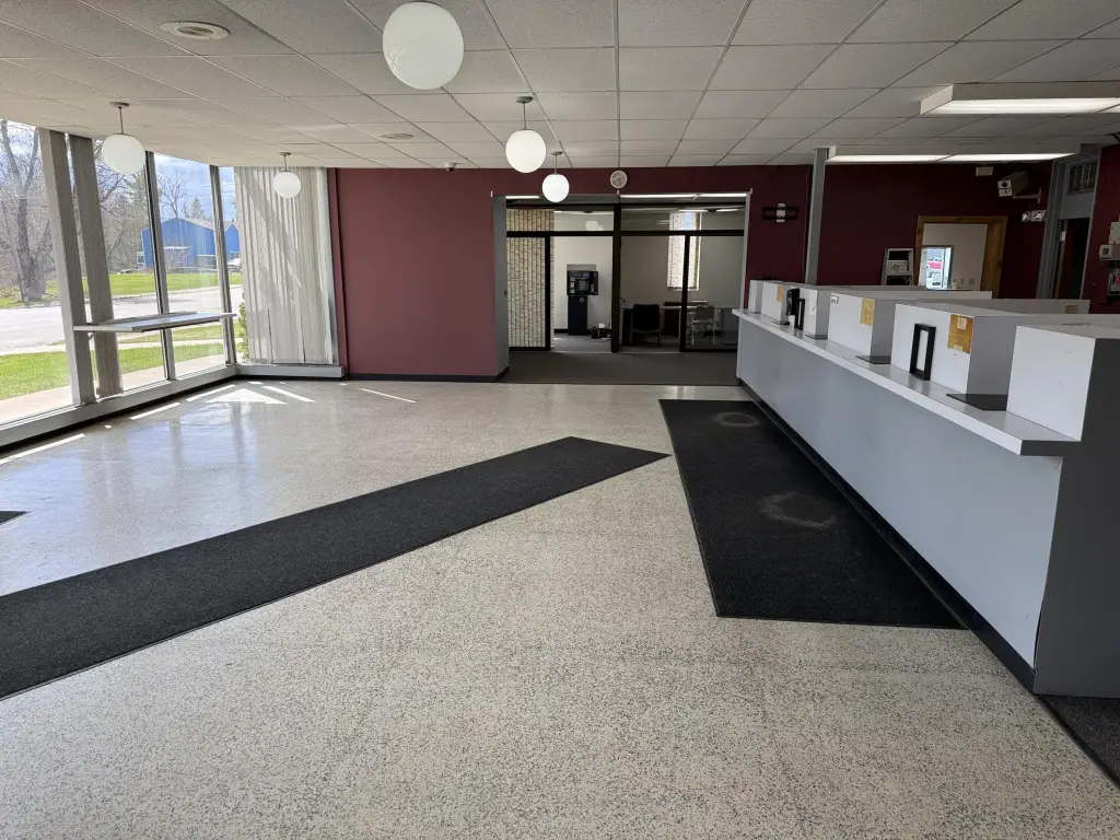 Picture 5