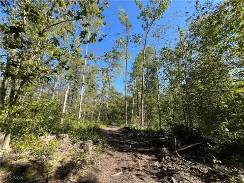 Recreational Land in Jefferson, Ohio