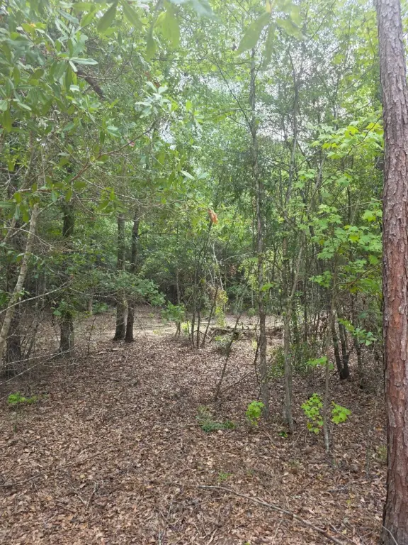 Picture 6