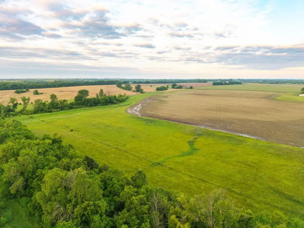 Picture 6